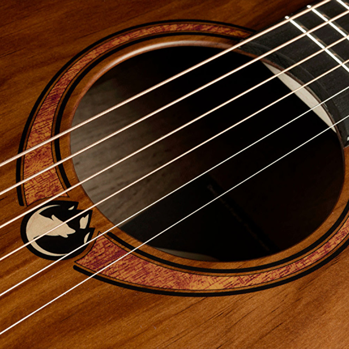 LAG GLA SAUVAGE-A Auditorium Akustik Gitar